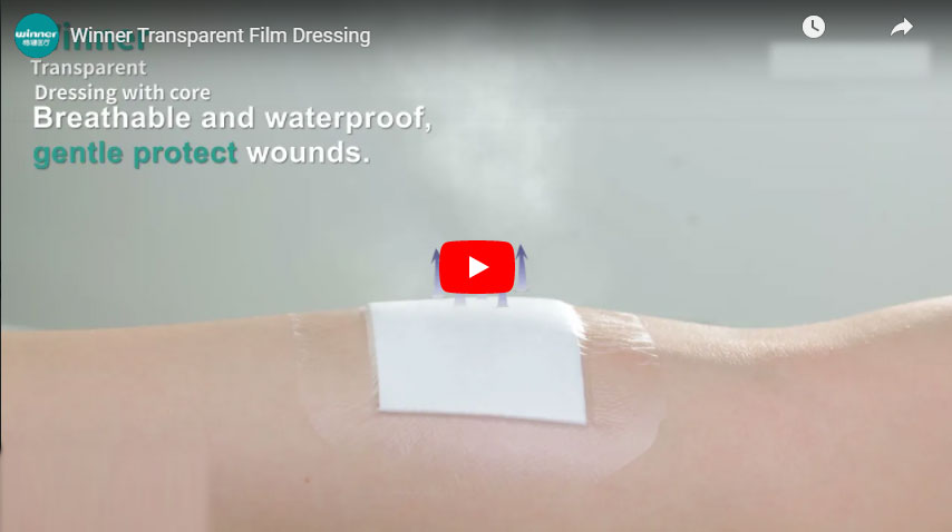 Transparent Film Dressing, Wound Care Products  Transparent Film Dressing, Wound Care Products