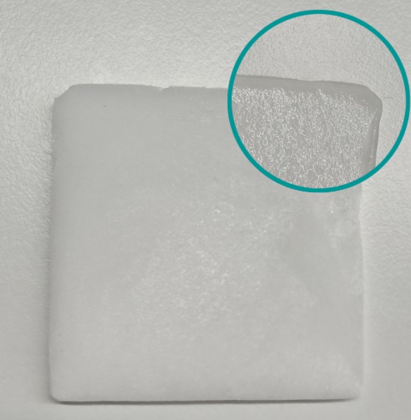 Collagen Dressing