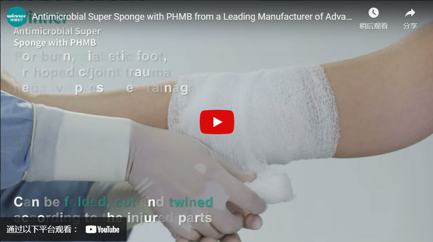 Super Sponge with PHMB from a Leading Manufacturer of Advanced Wound Care Dressing