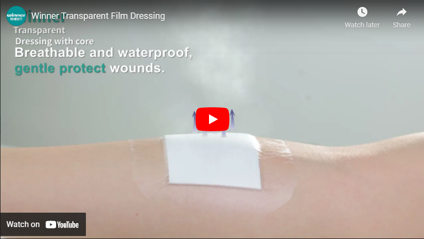 Transparent Film Dressing, Wound Care Products
