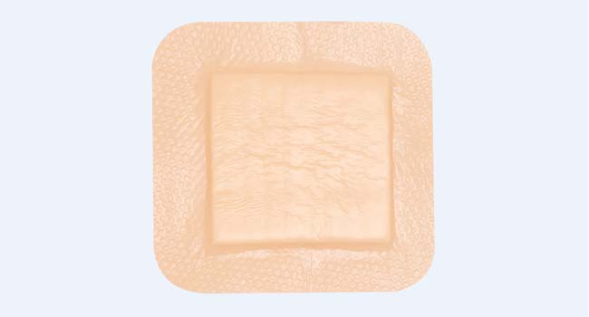 Ag Foam Dressing and PHMB Foam Dressing Pass 510(K) Application
