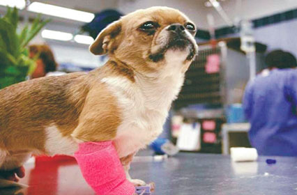 Bandages